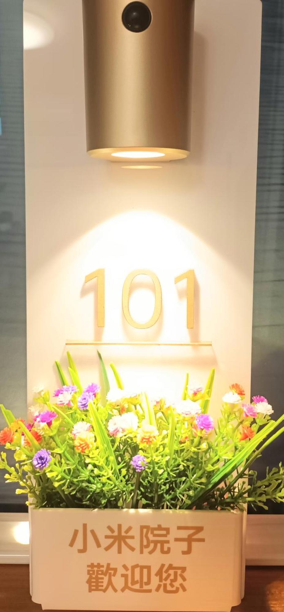 Xiaomi Courtyard B&B 池上郷 エクステリア 写真